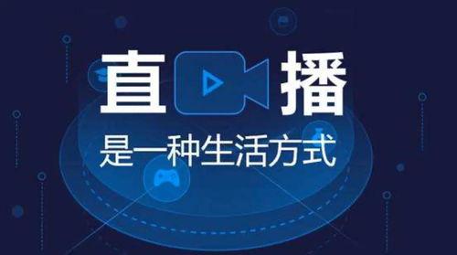 一、网络直播平台的选择