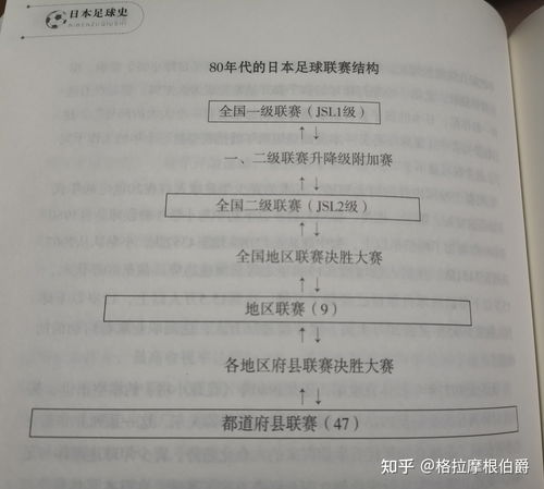 预选赛的基本结构