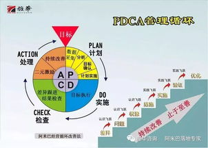 1. 预售阶段：提前锁定心仪位置