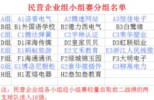 参赛队伍与分组情况