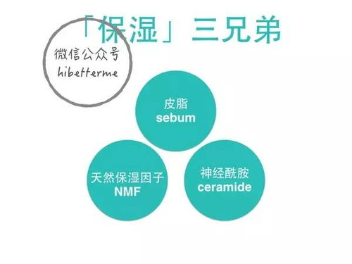 一、了解购物建议的核心意义