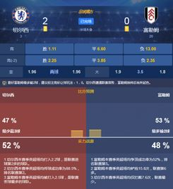 历史战绩回顾