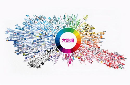 一、赛事背景与数据收集