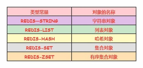 一、了解基础规则与赔率机制