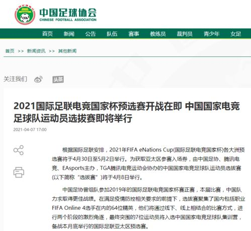 国际足联的初步规划