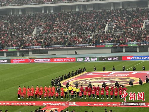 国足世预赛主场赛事全览