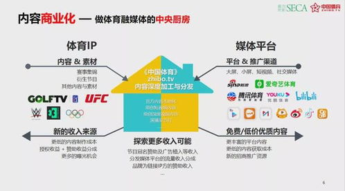 一、国内专业体育平台直播渠道