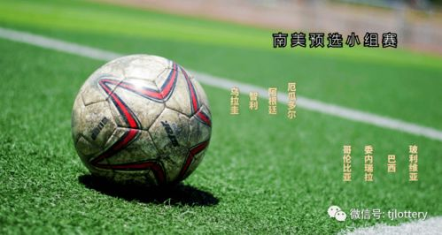 南美预选赛赛事概况