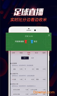 足球赛事信息查询全攻略