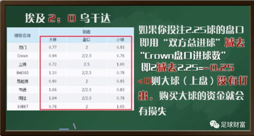 足球竞猜基础知识解析