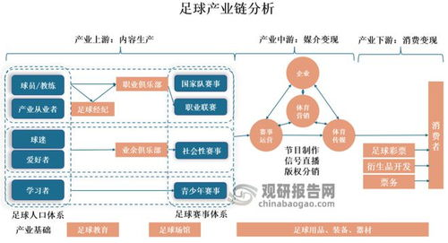 足球号码体系的核心解读