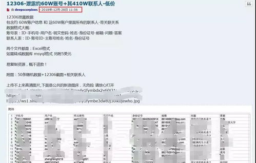 一、官方赛事平台查询系统