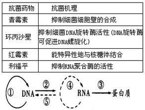 让球机制核心解读