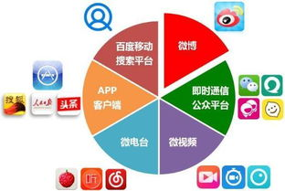 专业竞彩平台的核心优势解析