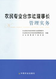 基本概念与核心规则