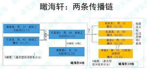 传统号码体系中的4号定位