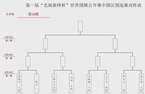 一、南美区预选赛的基本架构