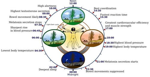 时区优势重塑观赛生物钟