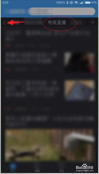 国际赛事直播回看平台对比分析
