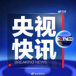 央视体育频道的赛事转播权威性解析