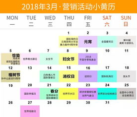 小组赛程关键节点分析