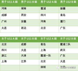葡萄牙预选赛分组形势与赛程解析