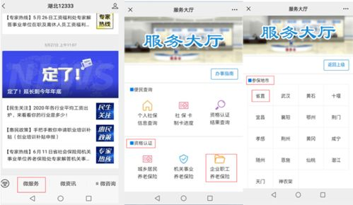 一、官方转播平台认证与选择策略