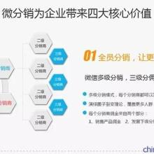 官方授权转播渠道解析