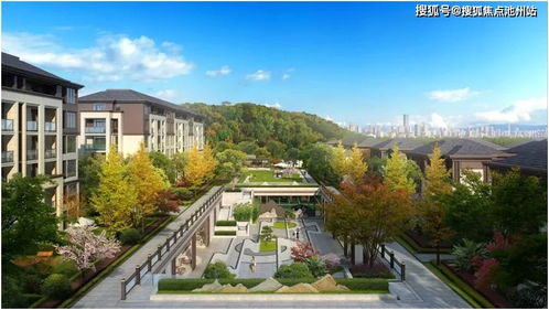 一、官方直播平台权威解析