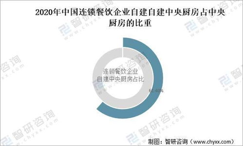中央关注的深层信号解读