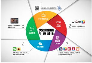 一、CCTV5独家转播权与平台优势解析