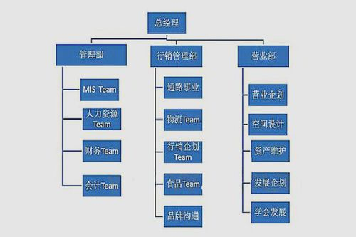 南美足联的特殊赛制架构