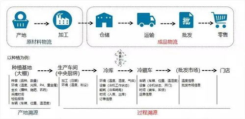 一、号码体系溯源:4号位的基因编码