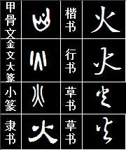 古典后腰到现代中场的演变历程