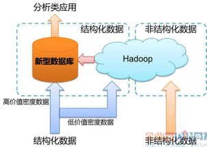 一、赛事数据分析的核心技术架构