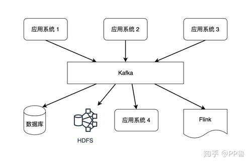 即时数据流构建投注决策基础