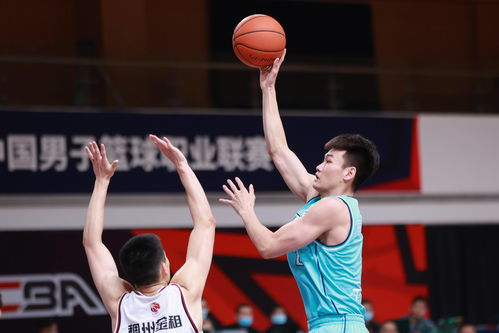 青岛对浙江cba篮球分析_青岛男篮对浙江
