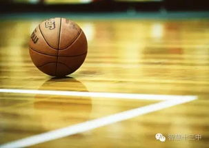 nba直播雨燕体育,乐球直播(无插件)