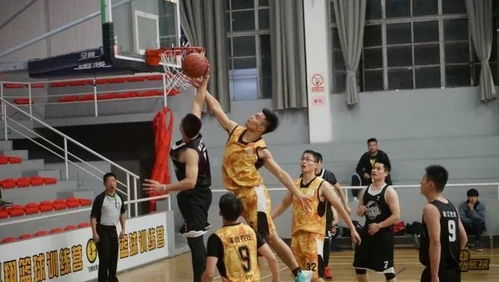 cba广东vs山西pk记录 cba广东对山西直播视频直播高清