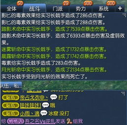 三、游戏优化与技巧分享