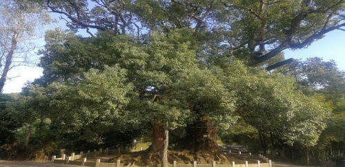 建阳的名胜古迹 建阳的景区
