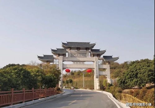 日挂扶桑 扶桑挂车图片-第1张图片-文史 日挂扶桑 扶桑挂车图片-第1张图片-文史