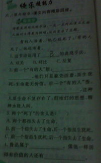 行动力的古诗 表示行动力的名言和口号