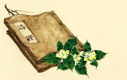 曲则全出自哪部古代典籍 曲则全最后得出的结论是什么-第1张图片-文史 曲则全出自哪部古代典籍 曲则全最后得出的结论是什么-第1张图片-文史