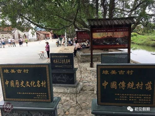 埭美古村旅游攻略 埭美古村旅游攻略路线-第1张图片-文史