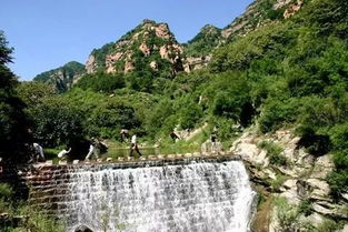 博山岱北村卧牛山 岱岳区卧牛社区规划图