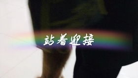 锥子受伤的视频 锥子受伤第几集-第1张图片-文史 锥子受伤的视频 锥子受伤第几集-第1张图片-文史