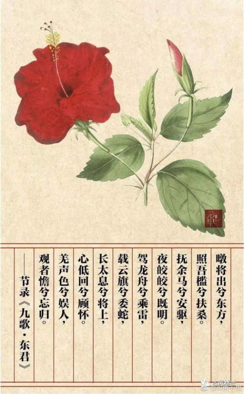 挂弓扶桑的意思 挂弓扶桑是什么典故呢-第1张图片-文史 挂弓扶桑的意思 挂弓扶桑是什么典故呢-第1张图片-文史