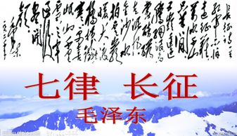 观沧海的背后故事 观沧海的历史背景资料