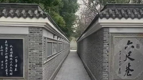 历史典故三尺巷图片 三尺巷在哪里?典故是什么